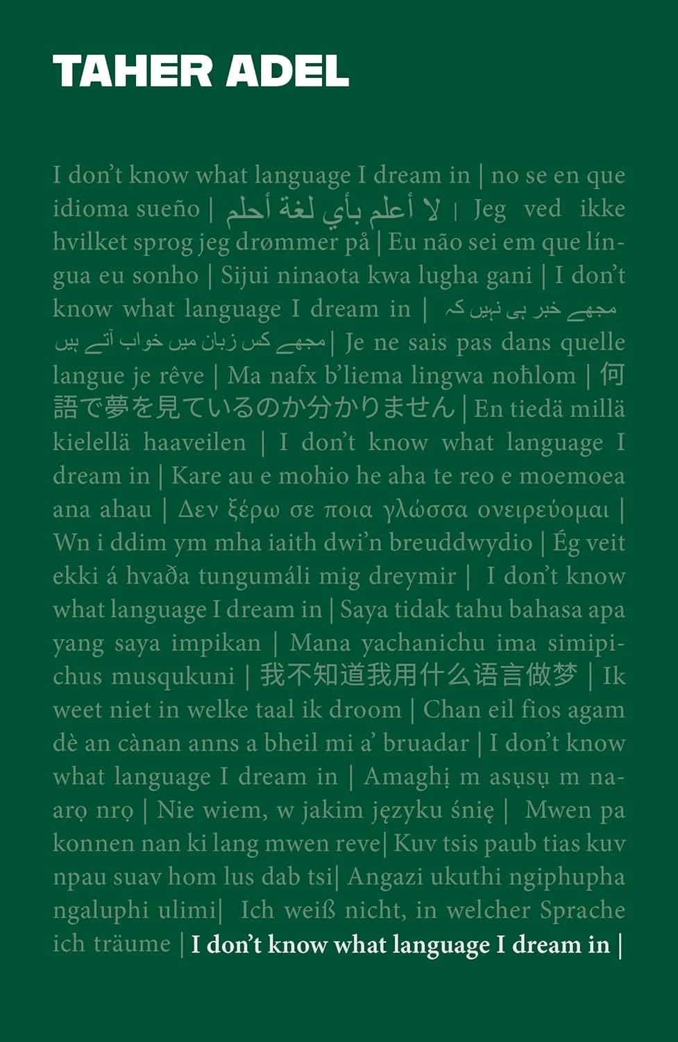 Cover of I Don’t Know What Language I Dream In by Taher Adel